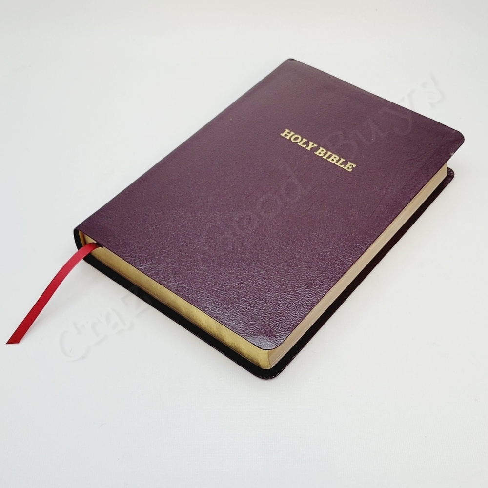 Thomas Nelson King James Version Giant 12.2 Point Print Lay Flat 2017 Holy Bible